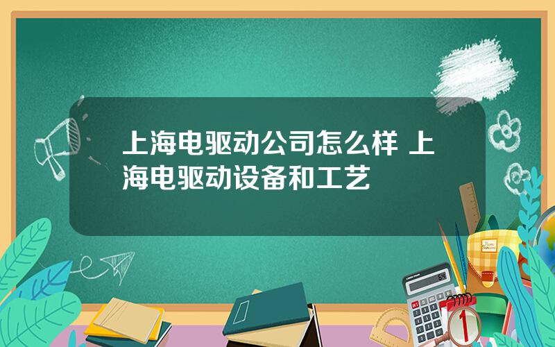 上海电驱动公司怎么样 上海电驱动设备和工艺